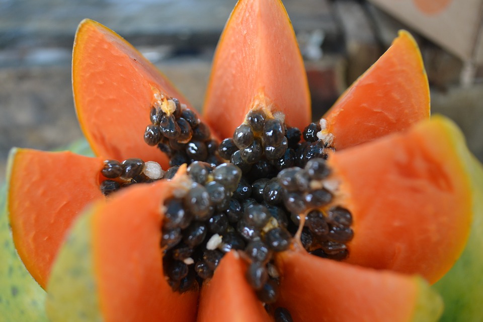 Fruto de la papaya