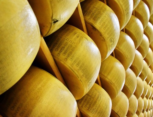 El queso: antecedentes y curiosidades