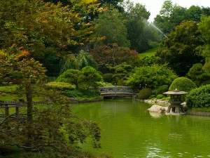 Japanese Hill-and-Pond Garden
