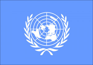 ONU -bandera