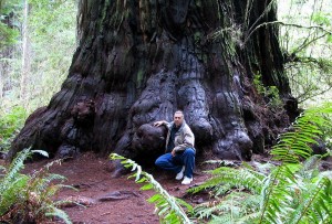 El nauralista M.D. Vaden en la base de la sequoia 'Lost Monarch'.