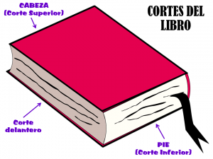 Libro - Cortes